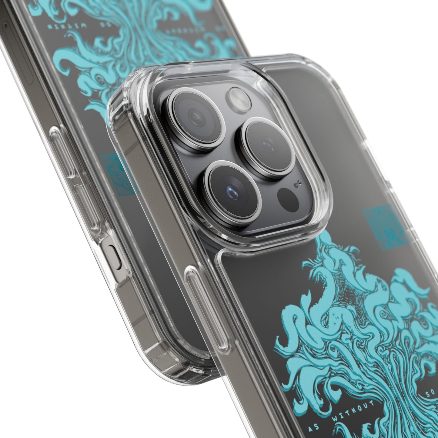 As within so without Clear Case