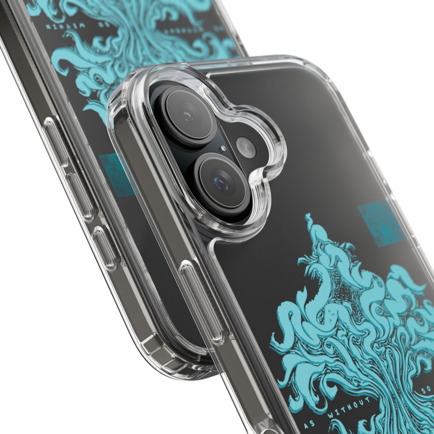 As within so without Clear Case