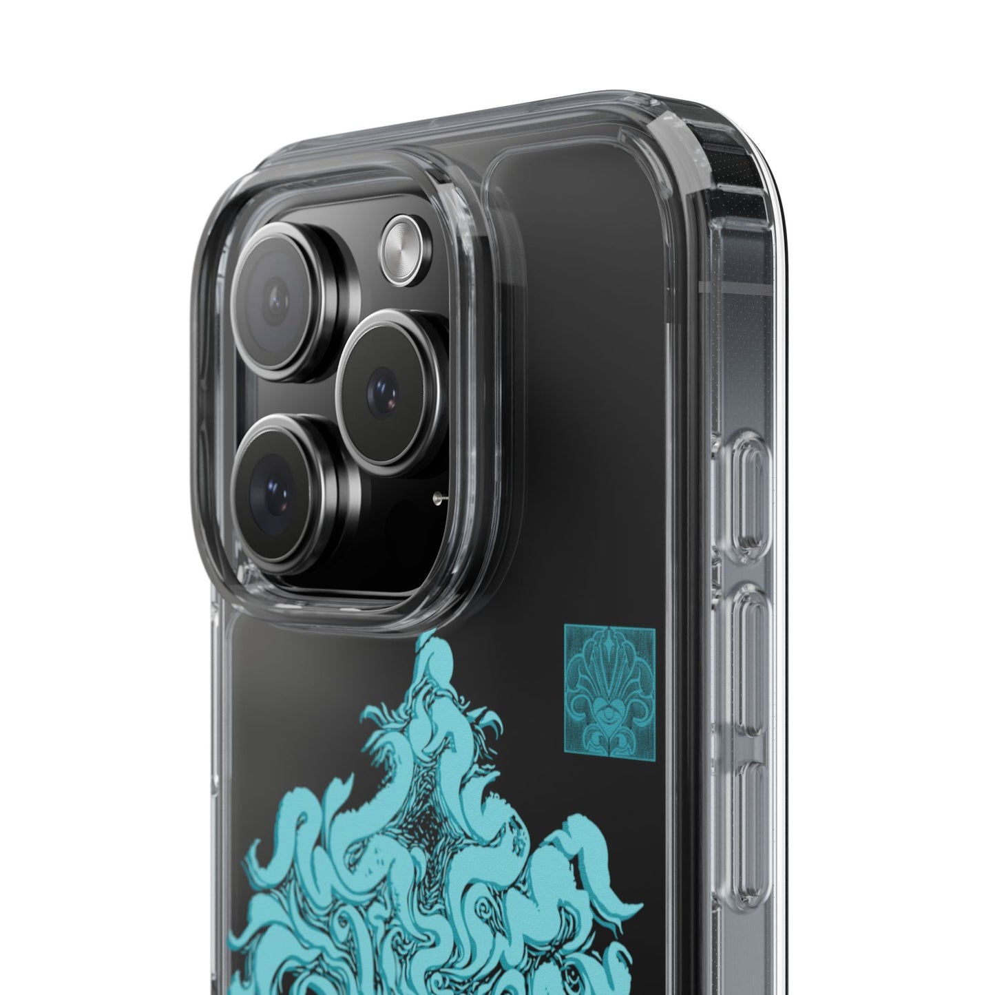As within so without Clear Case
