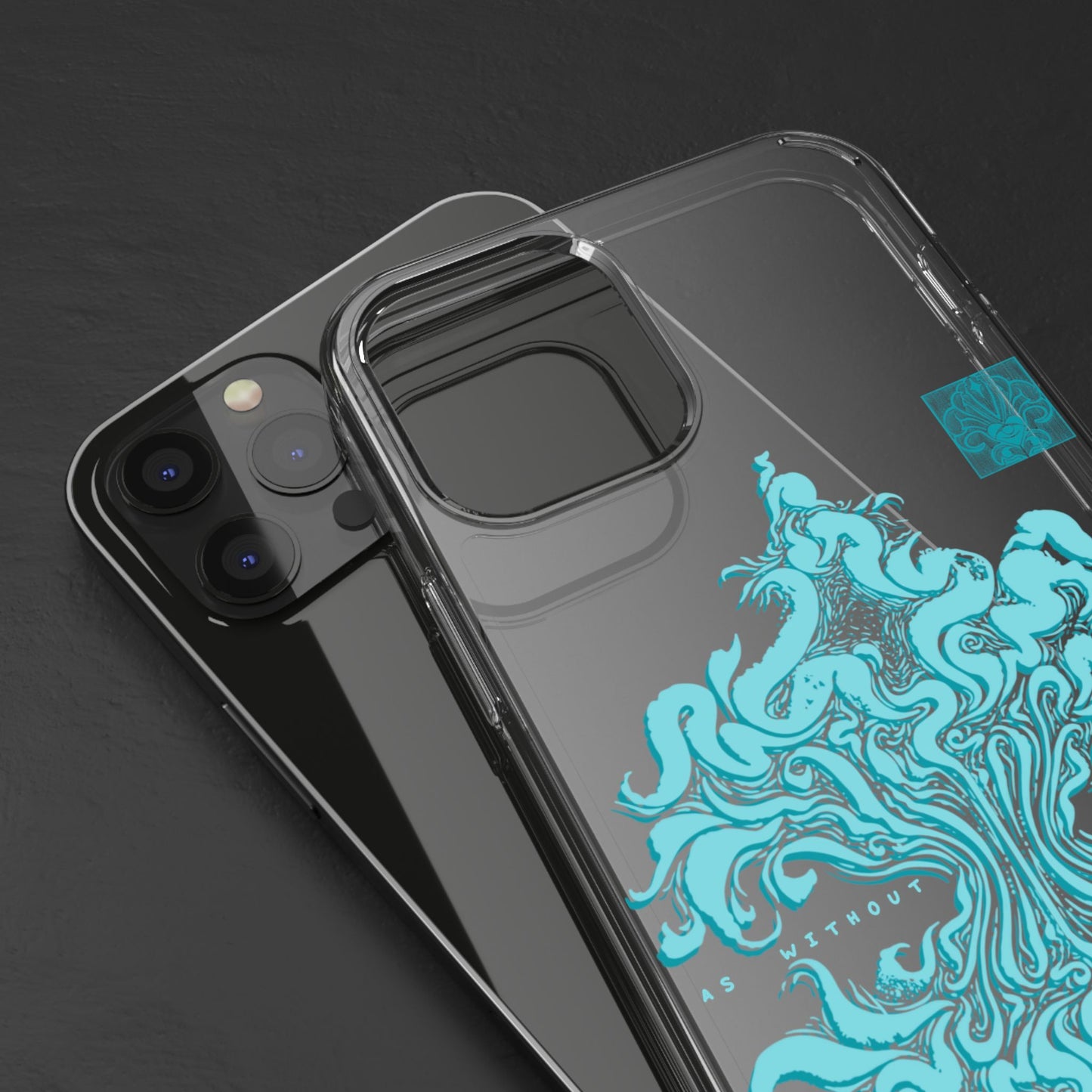 As within so without Clear Case