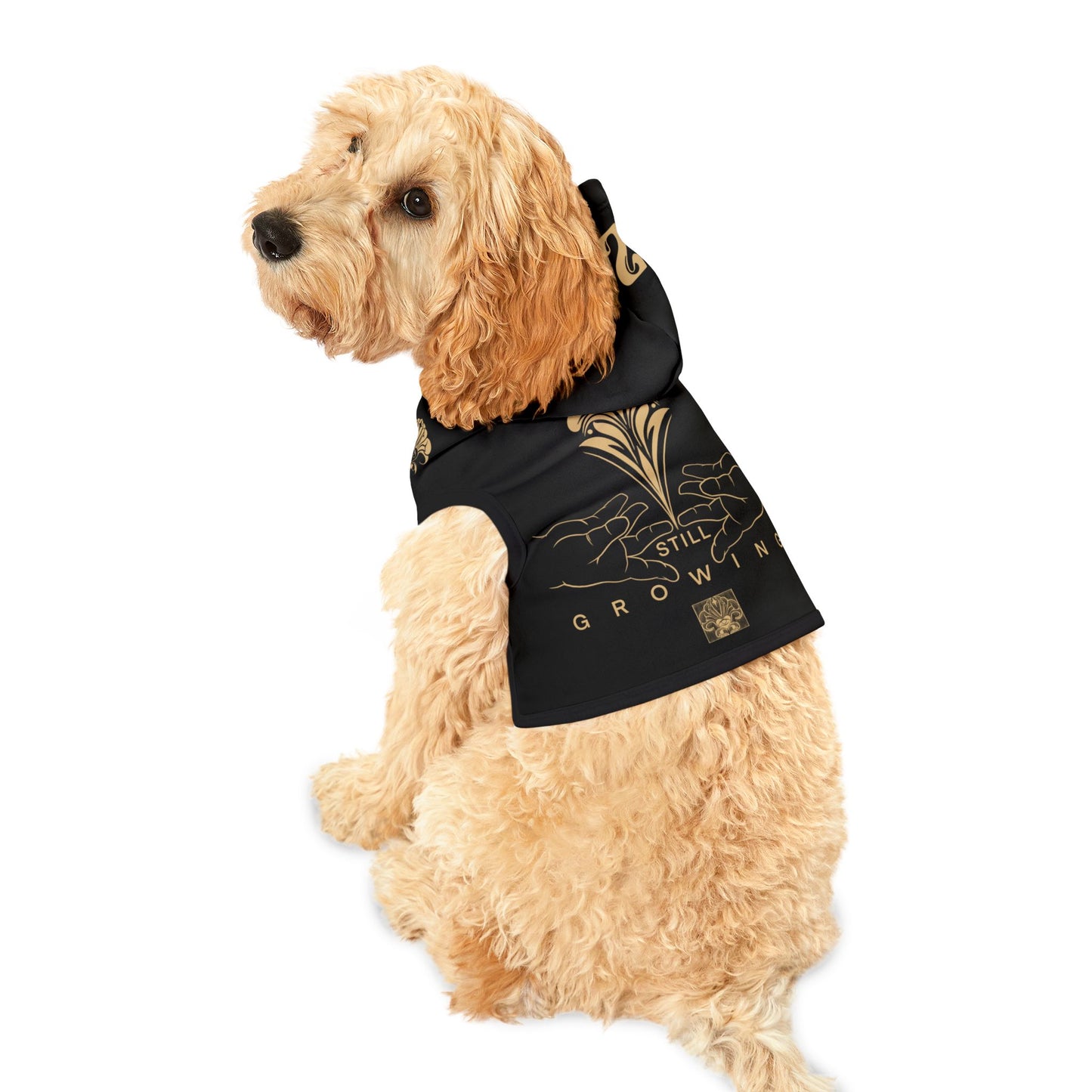 Pet Hoodie