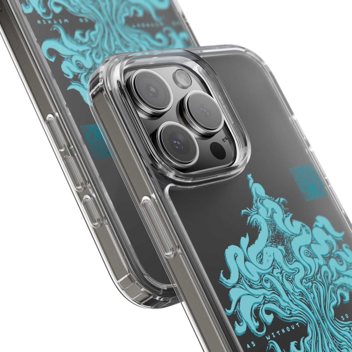 As within so without Clear Case