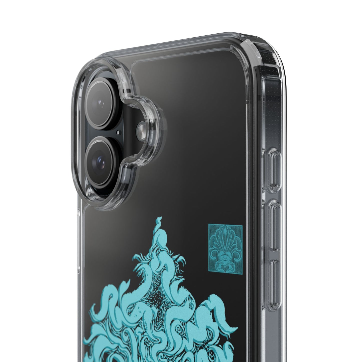 As within so without Clear Case