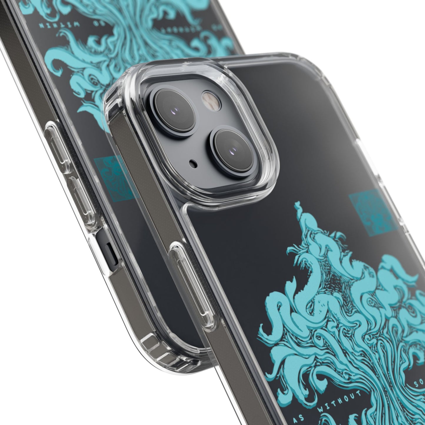 As within so without Clear Case