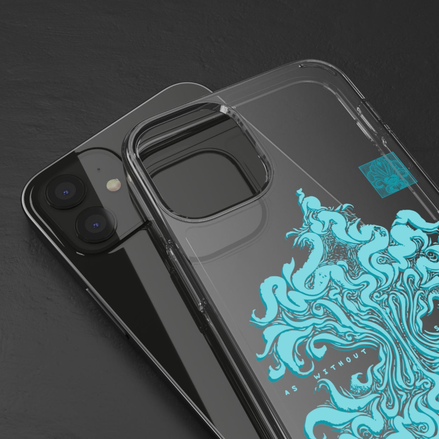 As within so without Clear Case