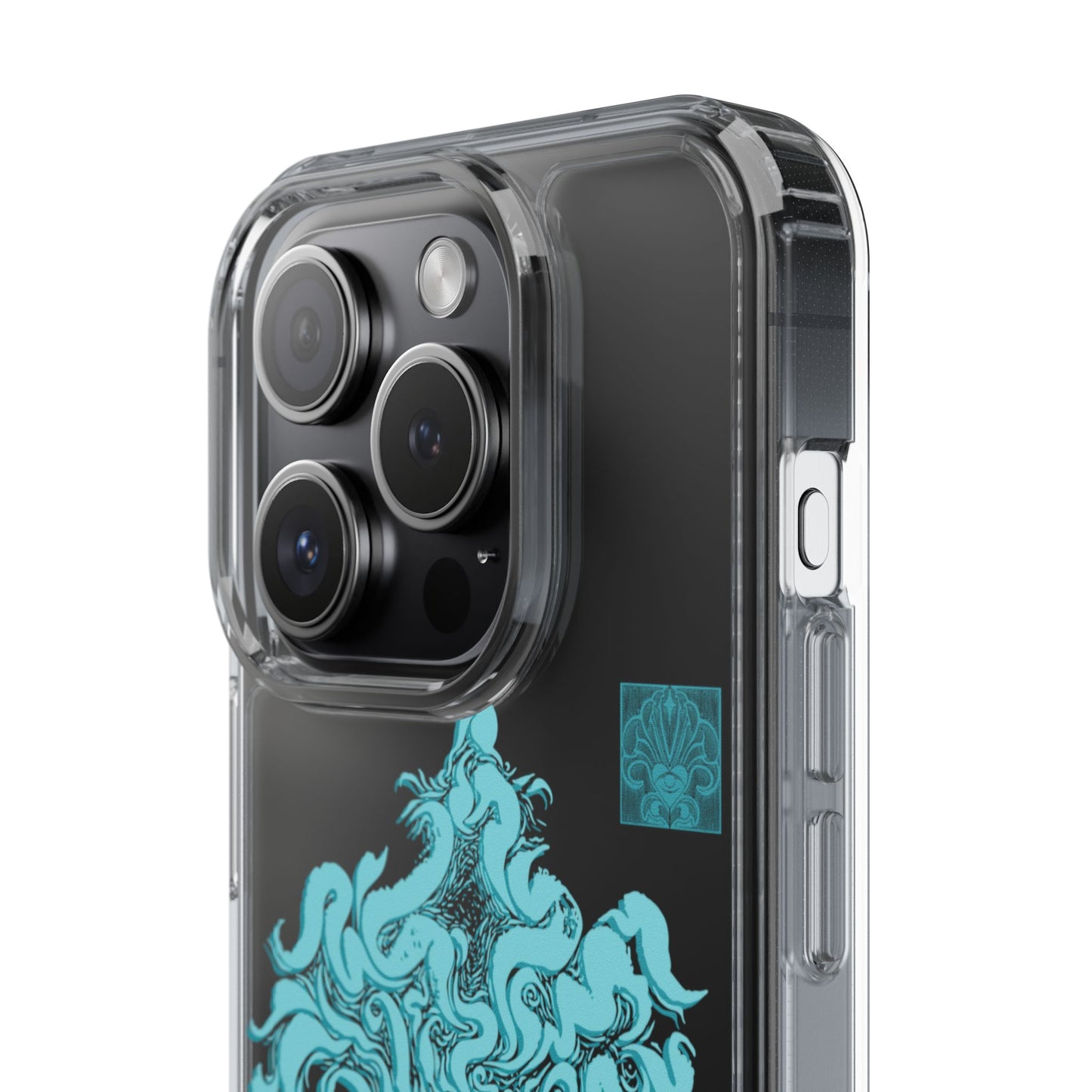 As within so without Clear Case