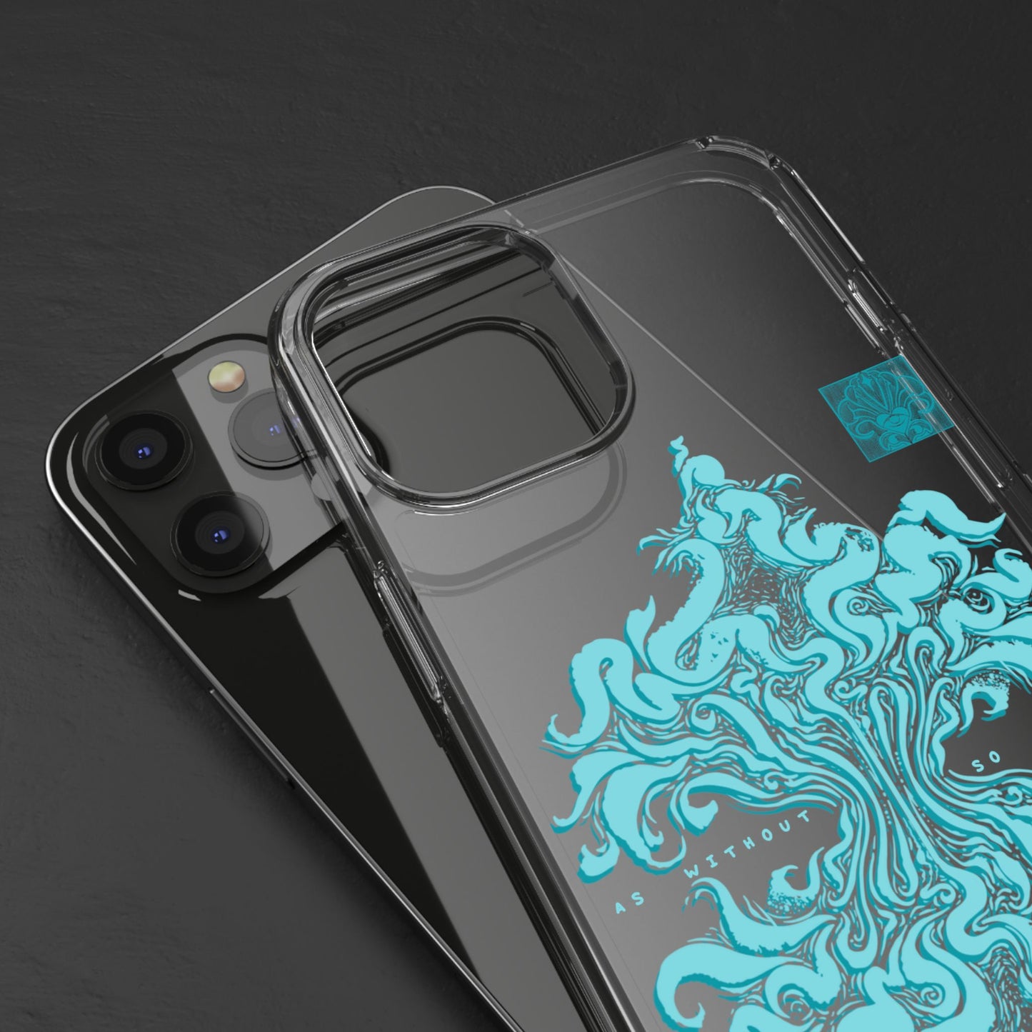 As within so without Clear Case