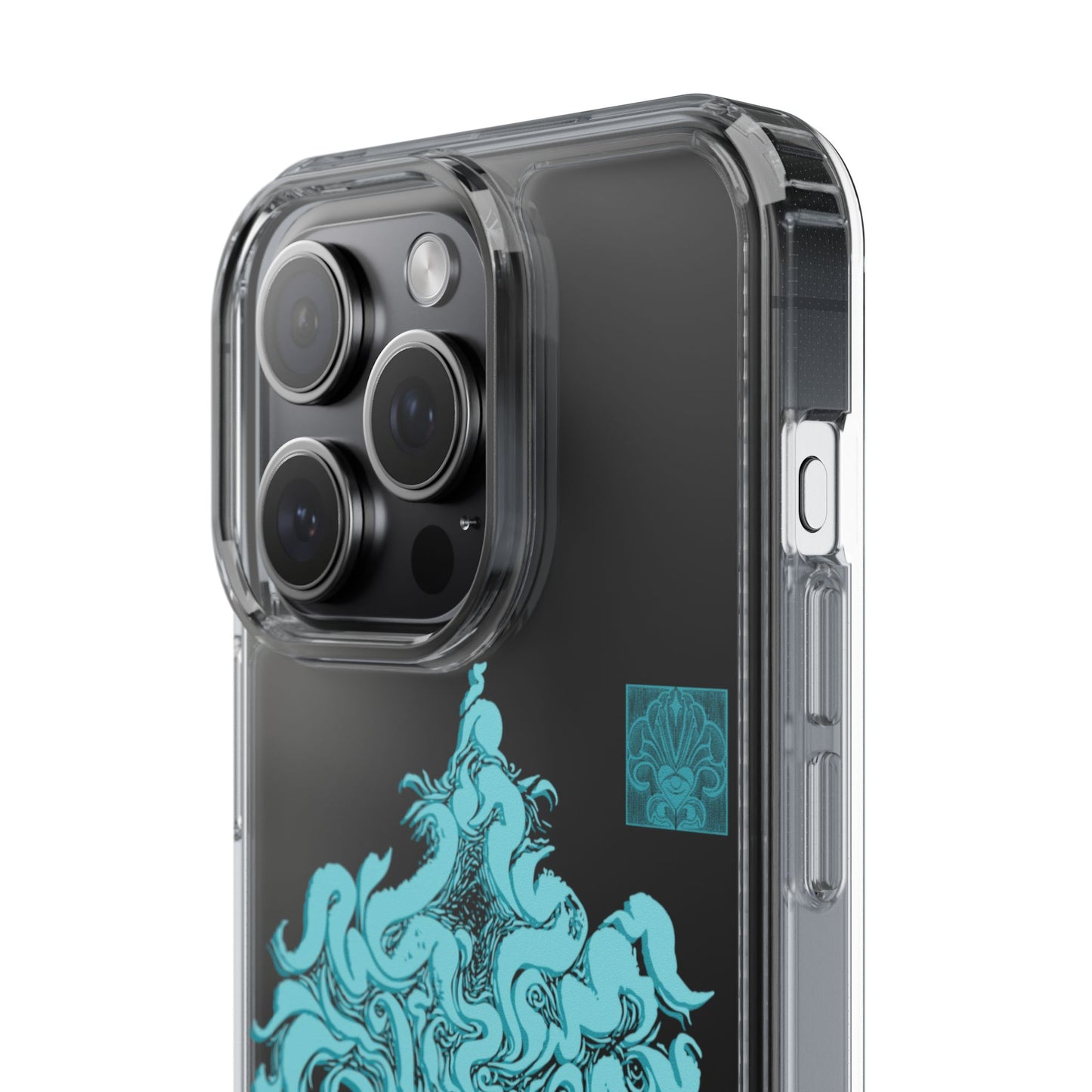 As within so without Clear Case