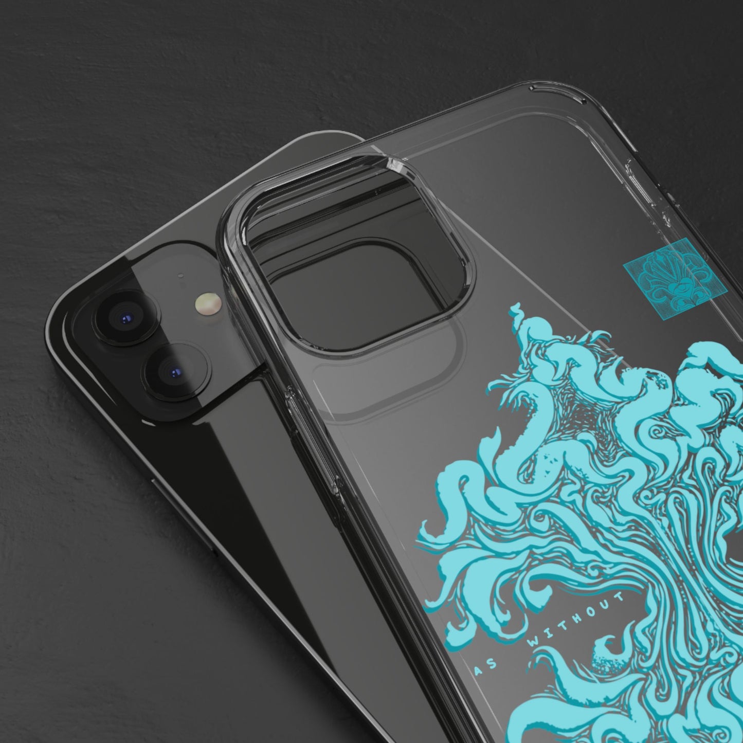 As within so without Clear Case