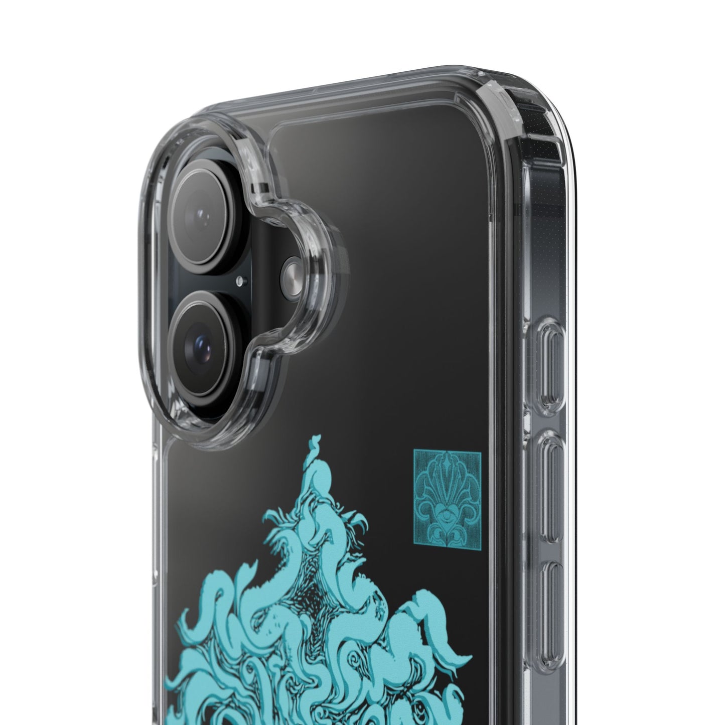 As within so without Clear Case