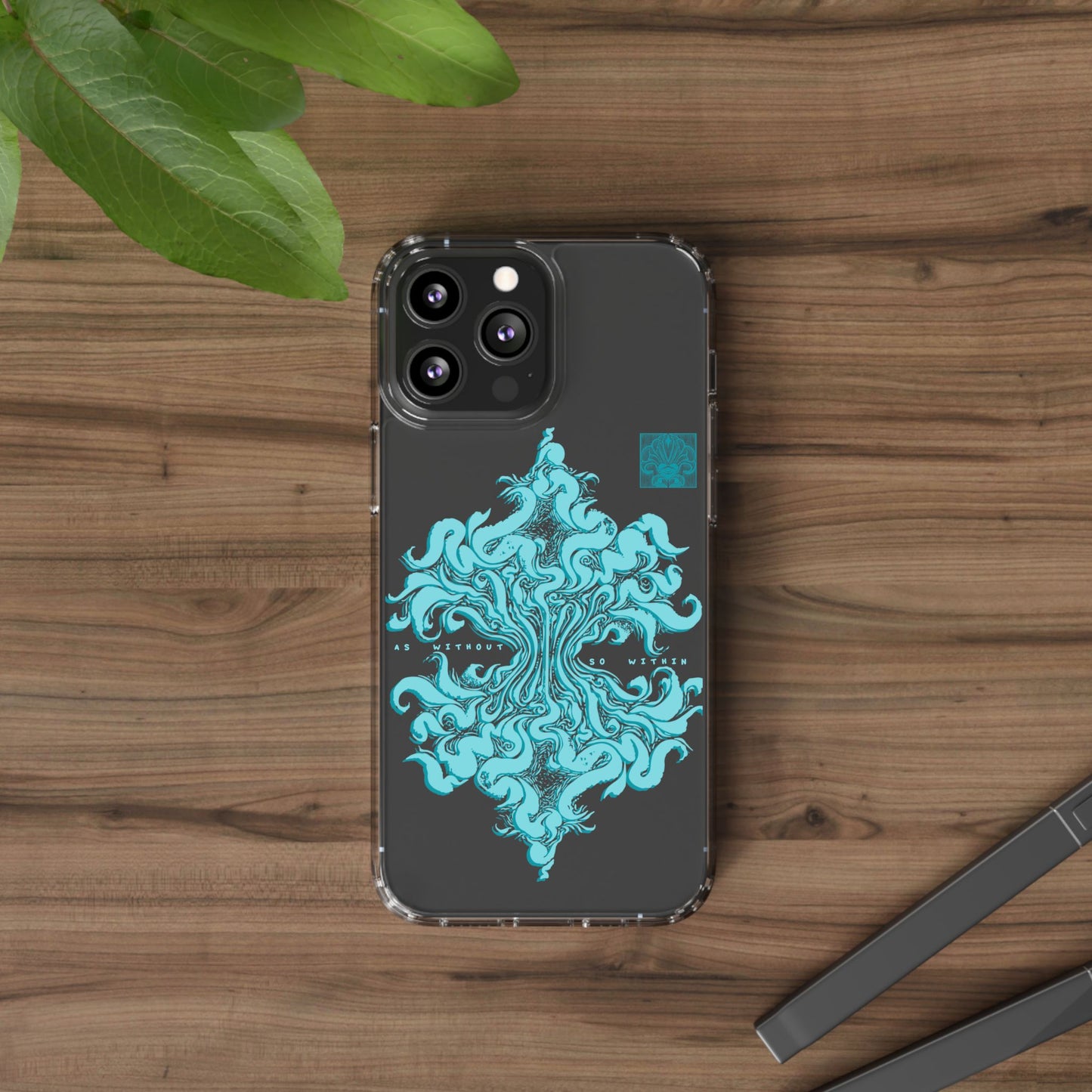 As within so without Clear Case