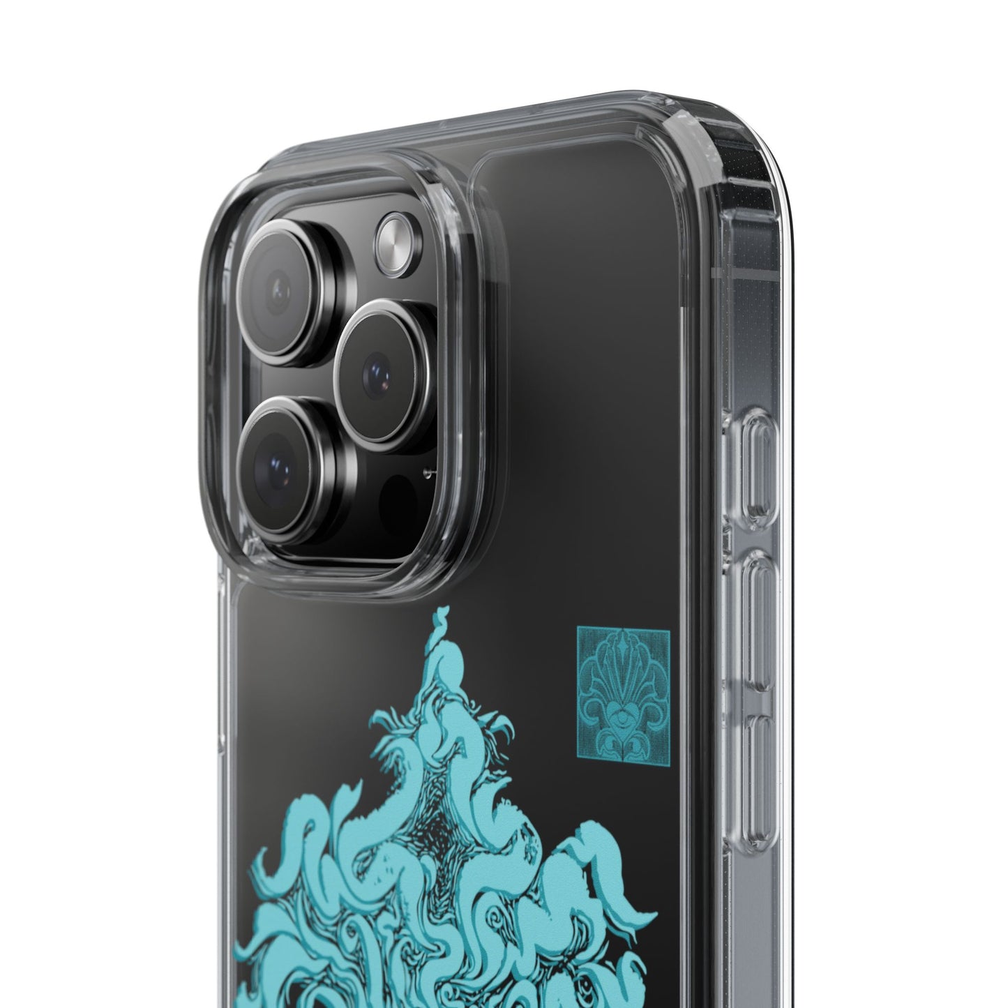 As within so without Clear Case