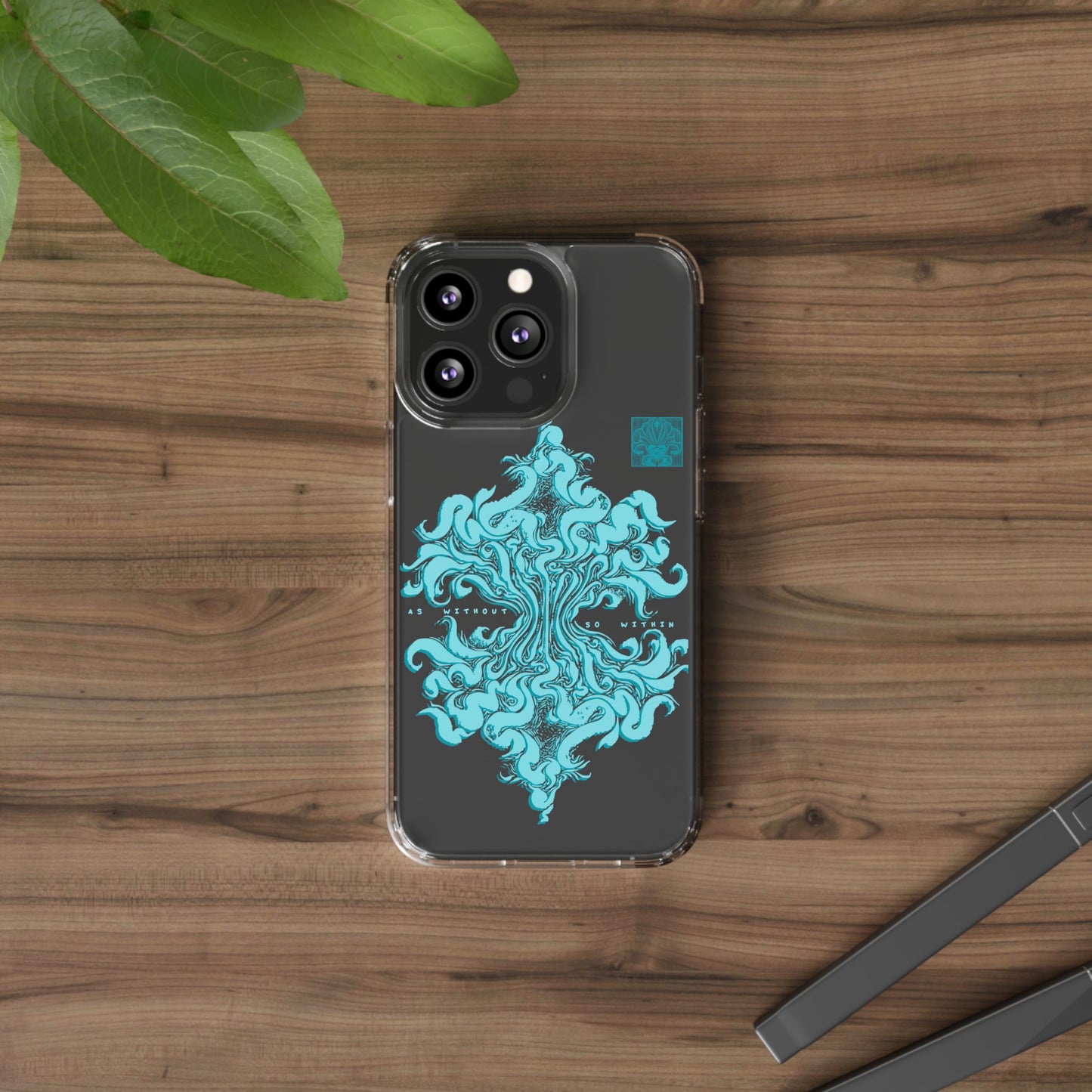 As within so without Clear Case