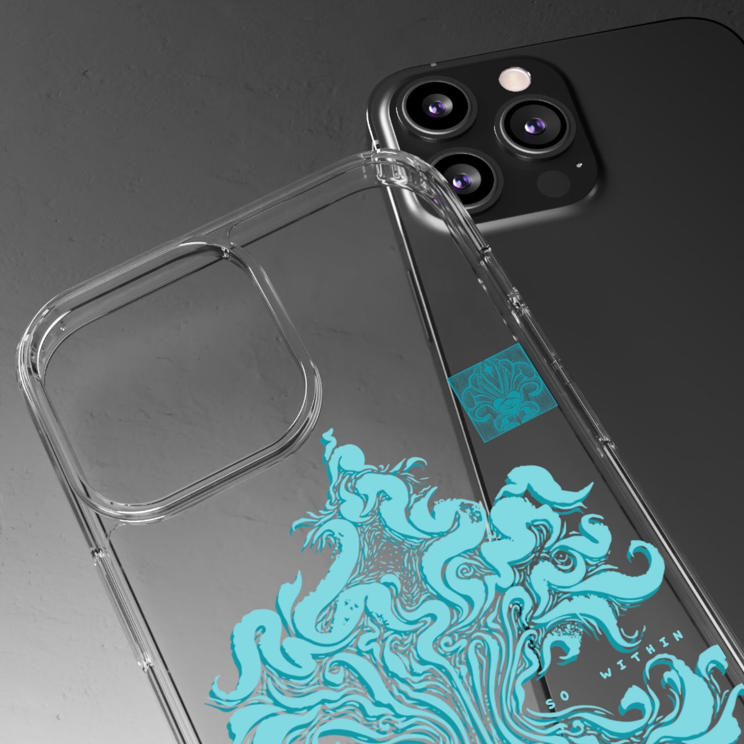As within so without Clear Case