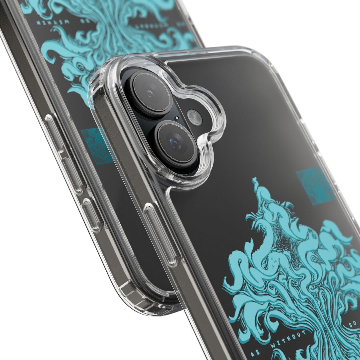 As within so without Clear Case