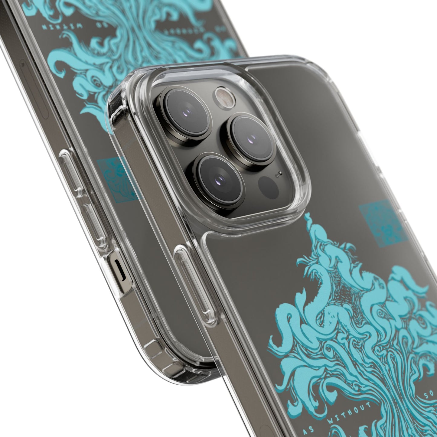 As within so without Clear Case