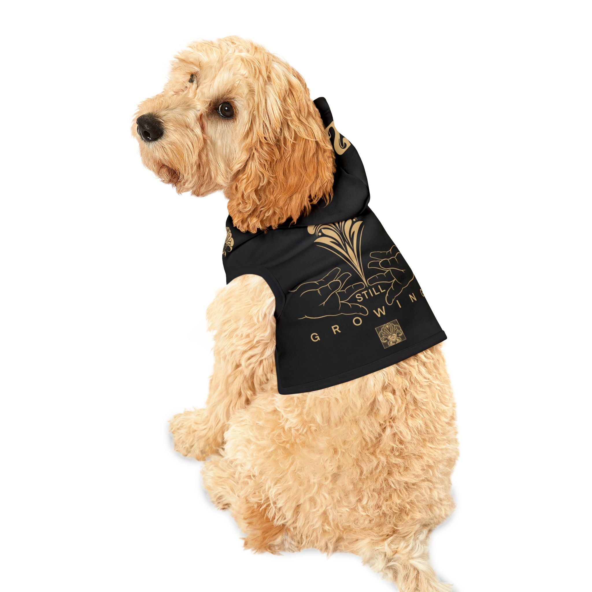 Pet Hoodie
