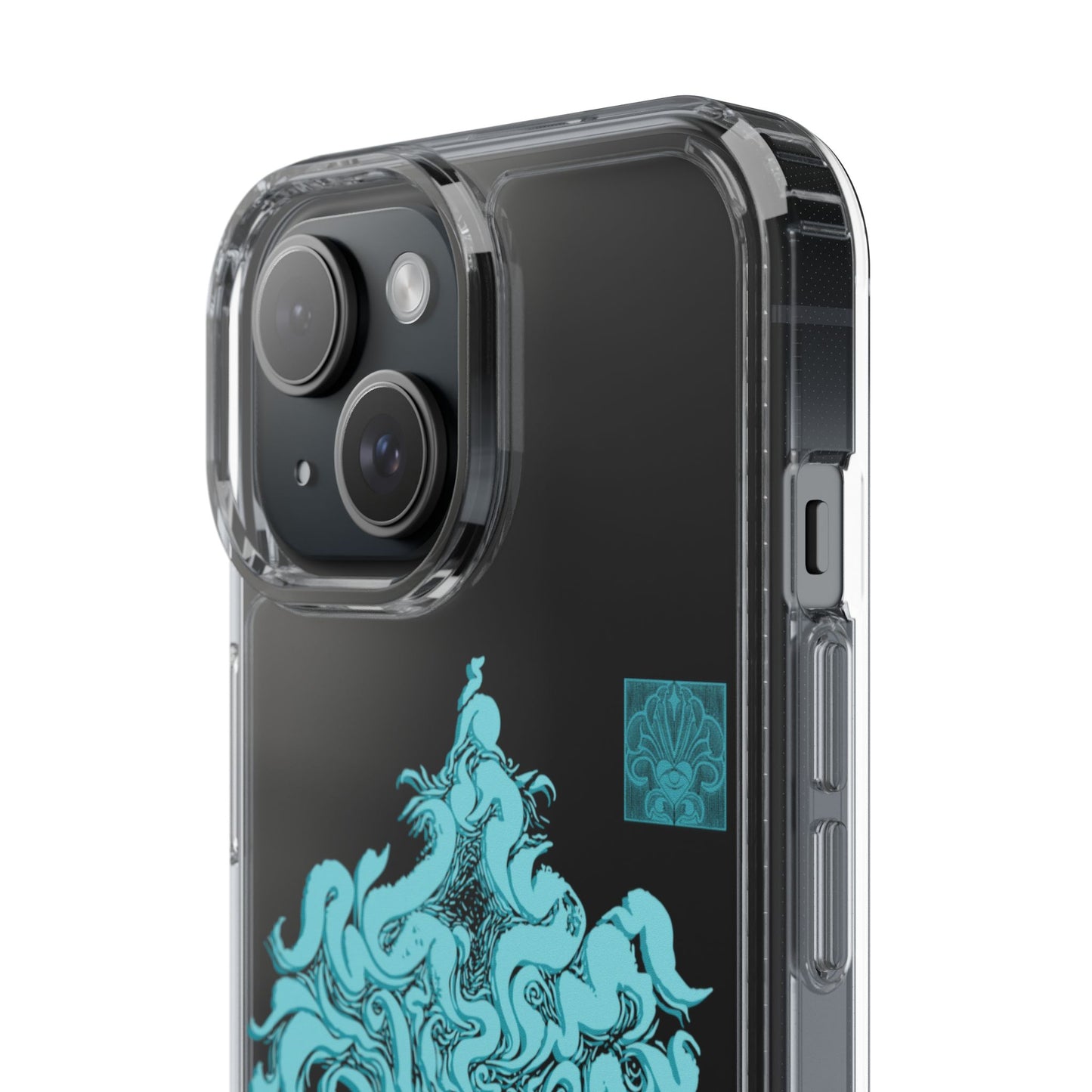 As within so without Clear Case