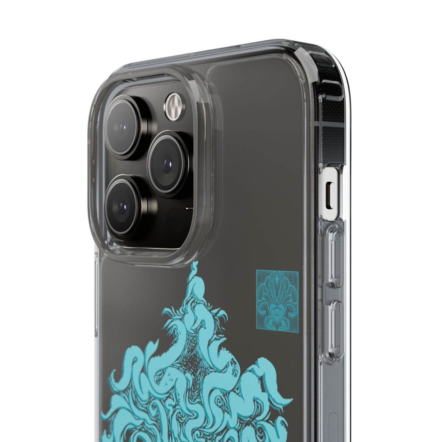 As within so without Clear Case